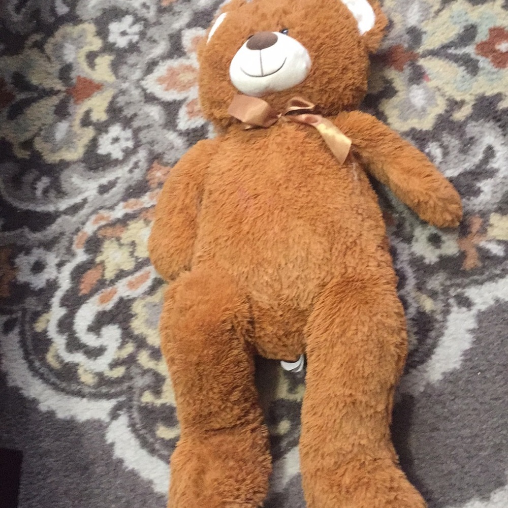 Teddy bear